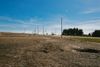 26222 Route 120 photo
